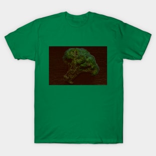 Natural and Ecological T-Shirt